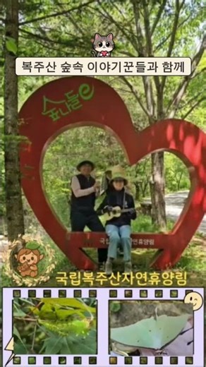 [여름체험] 🌿 6월 · 7월 여름 특별 프로그램 🌿 복주산자연휴양림의 여름숲 이야기 미리보기 (1차 홍보) #국립복주산자연휴양림 #자연휴양림 #forest