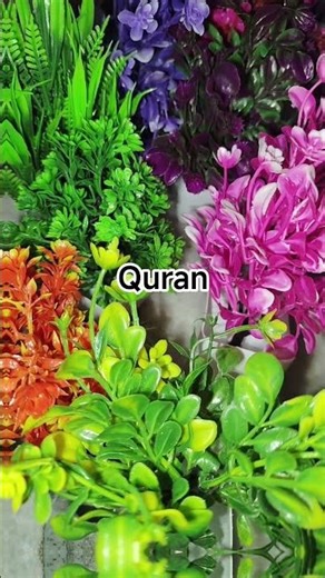 Surah Al-Maarij | Urdu Translation | Allah ki Qudrat aur Insan ka Mizaj ✨ #Quran #surahmaarij