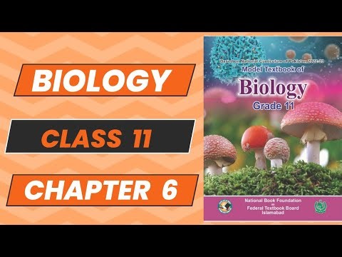 Biology 11 Chapter 6 Prokaryotes Topic 6 New Book NBF 2024 Complete Explanation FBISE