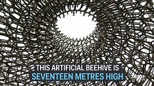 This massive hive shows humans what it’s like to be a bee. | Insider Tech Presents