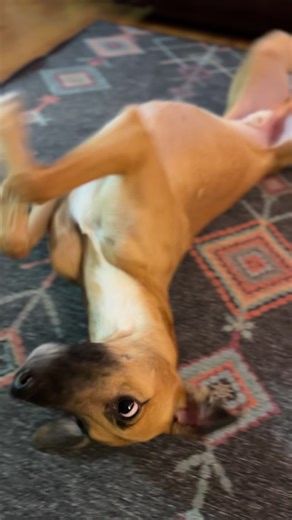 Reflecting on Life's Ups and Downs in 2025