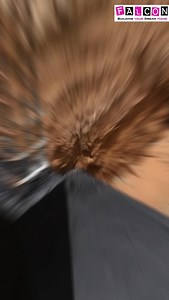 156K views · 11K reactions | _*️ Footing Bitufix Coating – Strong...