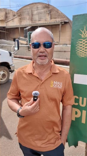  Pineapple Tour Promo   Now through November 21st, get 15% off your Maui pineapple tour Walk the fields. Taste the fruit. Take home a piece of paradise. ✅ Scenic tour through a working pineapple farm  Taste fresh-cut Maui Gold straight from the source  Bring home a free pineapple—airport-ready! ️ Book now and save 15% on Maui’s sweetest tour with code HOLIDAY15 | Maui Pineapple Tour | Facebook