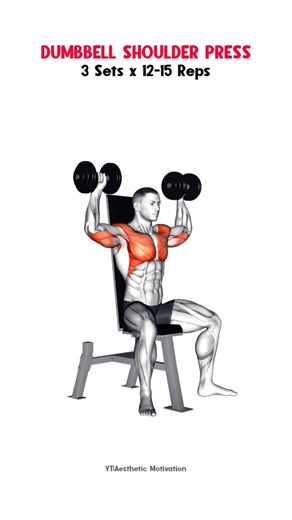 Push Pull Legs Workout| Push Workout for Beginners DAY-1 #gymworkout