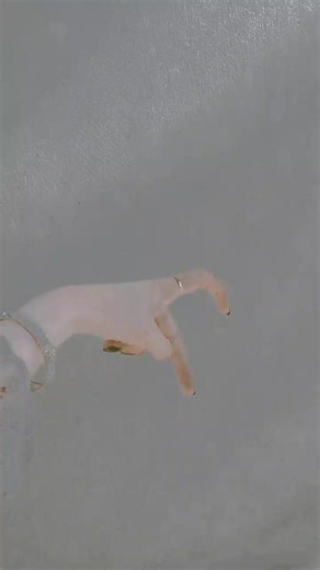 TikTok Hand Tricks That Will Amaze You