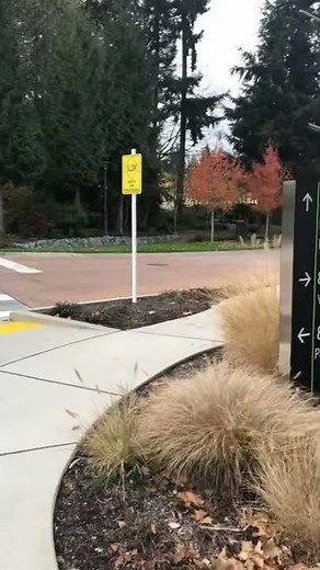 Microsoft Redmond campus