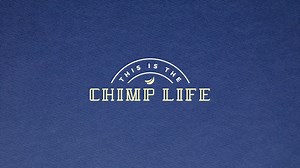 73 reactions · 6 comments | Have you ever wondered if chimps have to brush their teeth? While they may not have a dentist available in the wild, they do at Chimp Haven! Learn more about how our vet team keeps the chimps' teeth and gums healthy and free of dental problems. | Chimp Haven | Facebook