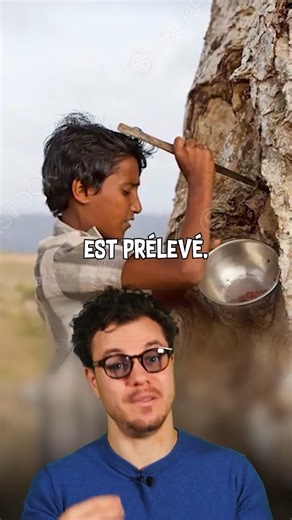 55K views · 1K reactions | Cet arbre saigne ?  | Poisson Fécond | Facebook