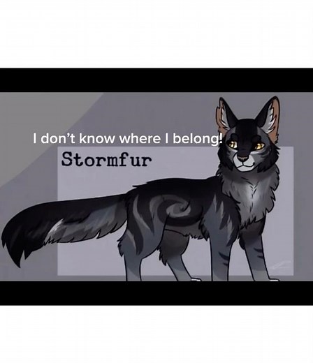 Stormfur and brook edit! #warriorcats
