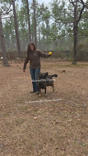 Fun combos with Nitro!