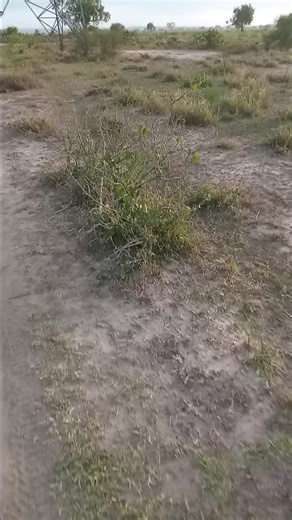 Witney (@witney3011)’s videos with original sound - Witney