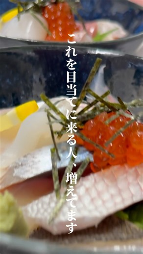【鮮魚】魚屋で一番人気！朝どれ地魚で作る絶品海鮮丼 #海鮮丼 #地魚 #福井グルメ #ランチ #魚屋の喰い処まつ田