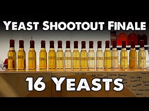 Yeast Shootout Finale: All 16 Yeasts vs 1 Mead Recipe