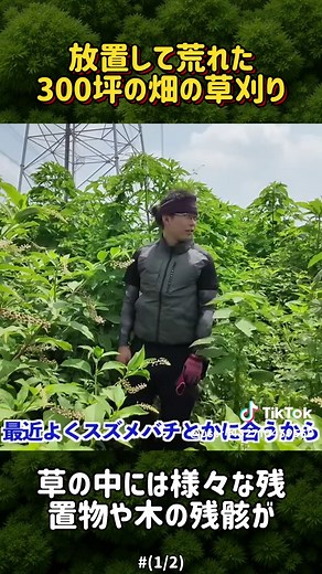 荒れた畑の草刈りとハンマーナイフモア