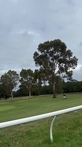 2.8K views · 8 comments | Drouin & District Race Club return to the races on Boxing Day, and urge the locals to get behind their once-a-year iconic picnic meeting.  CRV caught up with the club's President, Mark Leighton, and Treasurer, Greg Cole, ahead of their big day.  #CountryRacing #AsRealAsItGets | Country Racing Victoria | Facebook