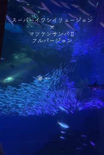 【八景島シーパラダイス】マツケンサンバⅡ×スーパーイワシイリュージョン フルバージョン #八景島シーパラダイス #マツケンサンバ #マツケン #おすすめ #fyp