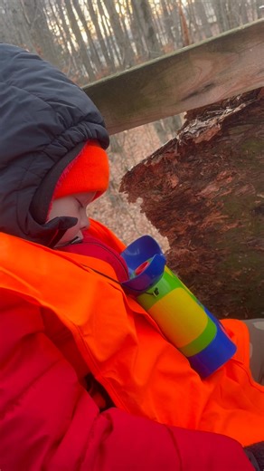 1.6K views · 46 reactions | Beckham loves a tree stand nap | Skyler Parmelee | Facebook