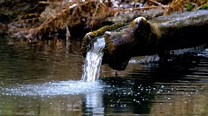 Fountain, Tree Trunk, Water Fountain. Free Stock Video
