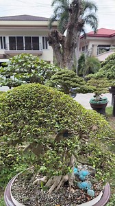 668 reactions · 52 comments | TESTING NATA UG ENGLISH PAG VLOG HAHAHA | Romeo Antipuesto Jr | Facebook