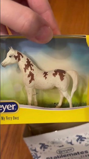 Unboxing Breyer Stablemates!! Last of the 2025 Club! #breyerhorses #modelhorses #breyers #unboxing