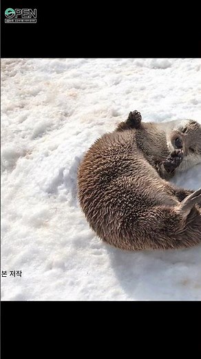 공공누리 공공저작물 출처표시 방법 세 가지!