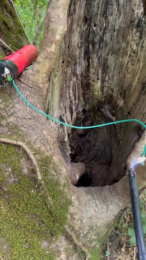 1.9M views · 6.3K reactions | Everything is ok | Jason the Great | Facebook