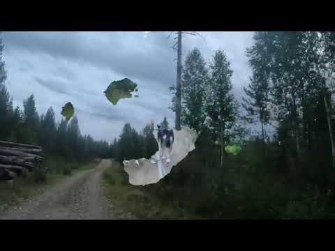 Gortex & Flinga Östtjärn-Fågelbergsstugan 2022