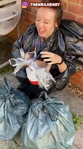 52M views · 250K reactions | He got scared by a trash bag...  Neil Henry Bash The Entertainer | Neil Henry | Facebook