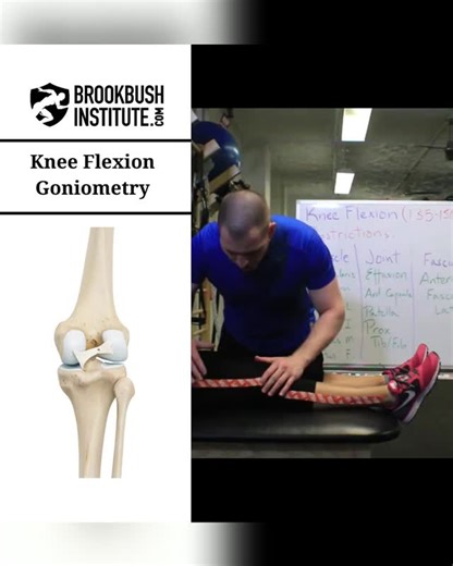 Brent Brookbush, CEO and Founder on Instagram: "🔴 Knee Flexion Goniometry⁠ ⁠ Video clip from the online course "Lower Body Goniometric Assessment: Technique and potential restricting structures":⁠ ⁠ The course counts for 2 credits towards the Brookbush Institute certifications and is pre-approved continuing education.⁠"