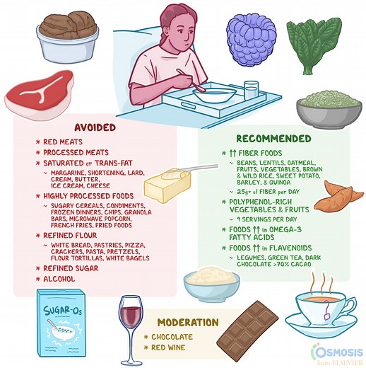 Anti-inflammatory Diet: What Is It, Foods to Consume and Avoid | Osmosis