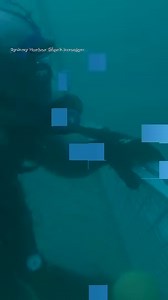 31K views · 673 reactions | What would you do if you were surrounded by sharks? 樂 A) Scream for help B) Try to reason with them C) Offer them your lunch Watch Sydney Habor Shark Invasion tonight during #SharkWeek at 11p on Discovery! | Shark Week | Facebook