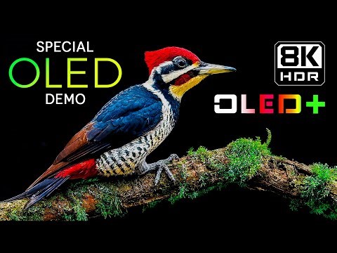 BEST OLED DEMO – Spectacular Dream Views in 8K HDR | Dolby Vision™