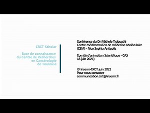 Decoding microrna mode of binding and its regulation