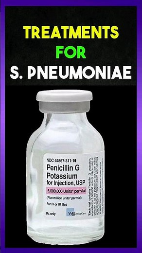 Treatments for Streptococcus Pneumoniae Bacteria