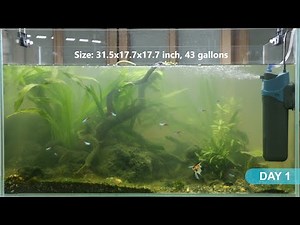 JUP 02 aquarium UV Sterilizer Filter