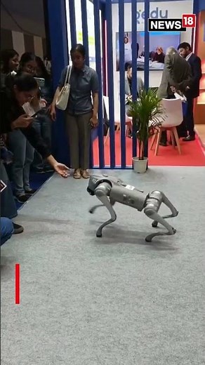 Handshake With a Robo-Dog at India AI Impact Summit 2026 Showcases Future of Human-Robot Interaction