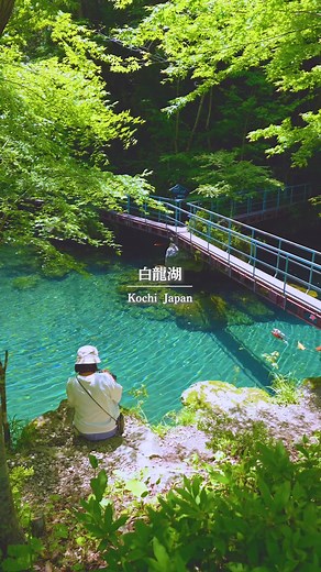 秘境 白龍湖の絶景と四国カルストの魅力