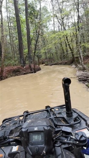 433K views · 5.4K reactions | Riding up the Sabine creek. YouTube video: "Mud Nationals 2025" #atv #mudding #mudriding #hondarubicon #4wheeler #fourwheeler #hondagang | Jp Stephens Youtube | Facebook
