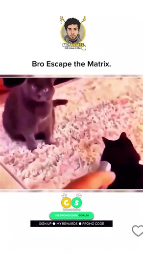 Bro Cracked the Matrix 🤣 || #memes #catshorts #shorts