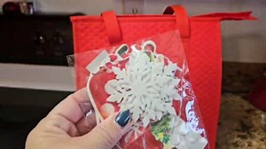 3 Pack 18L Thermal Cooler Bags, Zipper Top Grocery Carry Totes