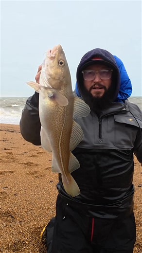 What a lovely Codling 🐟🐟 Sometimes you make your own luck. I hope you are all making your own luck over the Christmas break. #theshorehunter #seafishing #chesilbeach #fishing #codfishing | The Shore Hunter