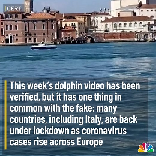 Two dolphins took a surprise day trip to Venice, Italy. In a rare sight, the dolphins are seen on camera swimming in the city's canals before returning to open waters. http://4.nbcla.com/A1hvlqb | NBC LA