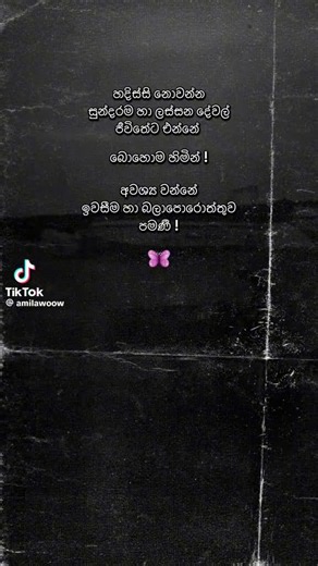 nadee (@nadee2684)’s videos with original sound - nadee