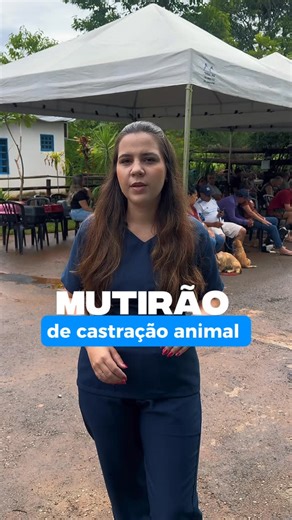 Conheça Unaí | Mutirão de castração, já está acontecendo! 🐾 🤩Foram disponibilizadas 450 vagas para castração, teve inicio no dia 20 de janeiro, e vai... | Instagram
