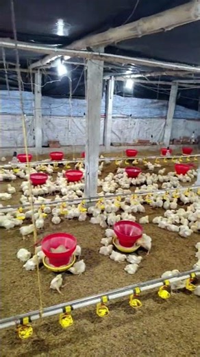 semi ec farm