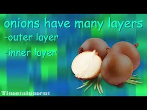 onion facts