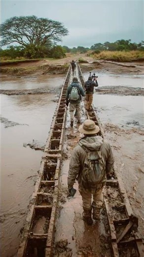 Lost Underground Bridge Found Beneath African Savannah