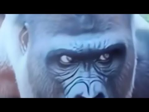 HOW TO GLITCH OUT OF THE BROOKHAVEN MAP