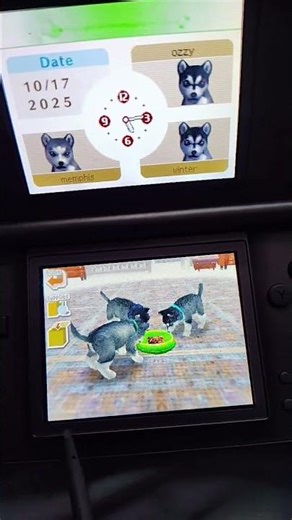 nintendogs