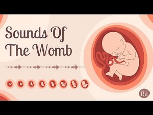 Womb Sounds for Babies - White Noise, Heartbeat, and Underwater Sounds